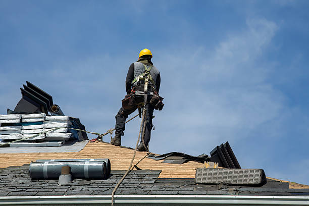 Professional Storm Damage Roof Repair technician working in Sargeant, MN