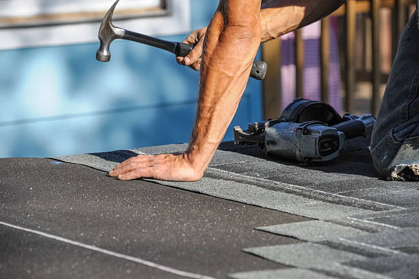 Affordable Storm Damage Roof Repair solutions in Sargeant, MN